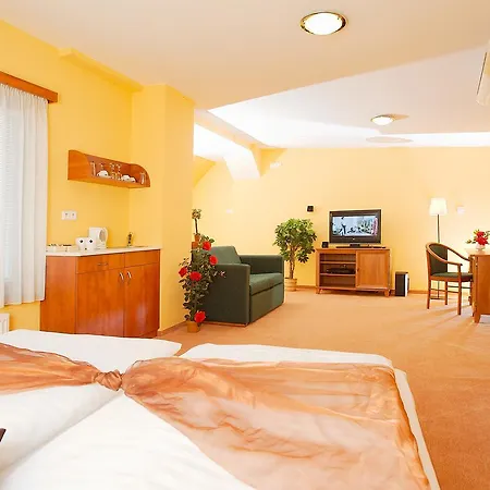 Paganini Hotel Brandýs nad Labem-Stará Boleslav
